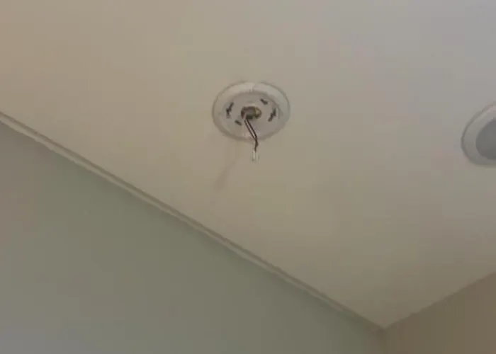 Modern Miami Apt With Self Check-In